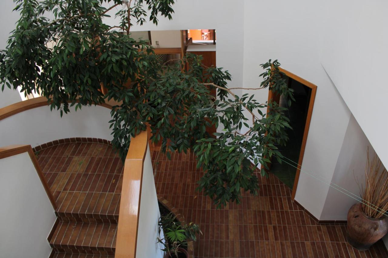 Villa De L'Ebre Deltebre Εξωτερικό φωτογραφία
